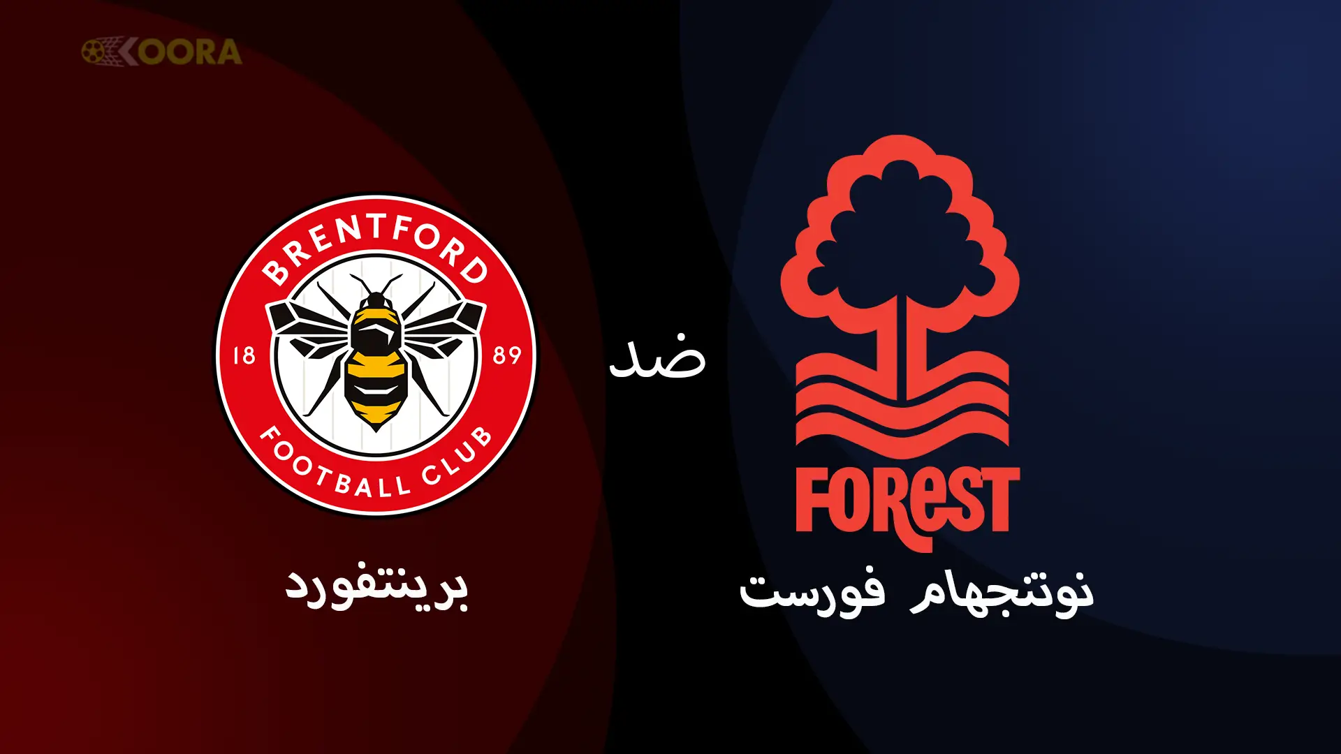 موعد مباراة توتنهام ضد بودو غليمت والقنوات الناقلة في ذهاب نصف نهائي الدوري الأوروبي 2025