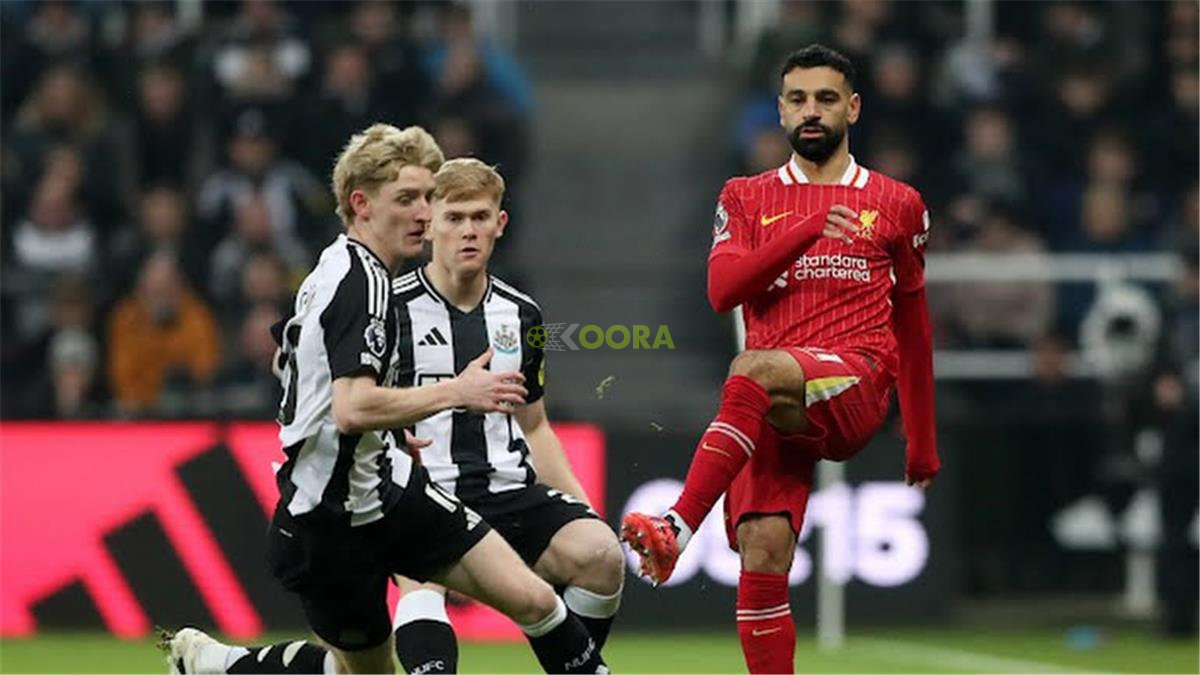 ليفربول - نيوكاسل