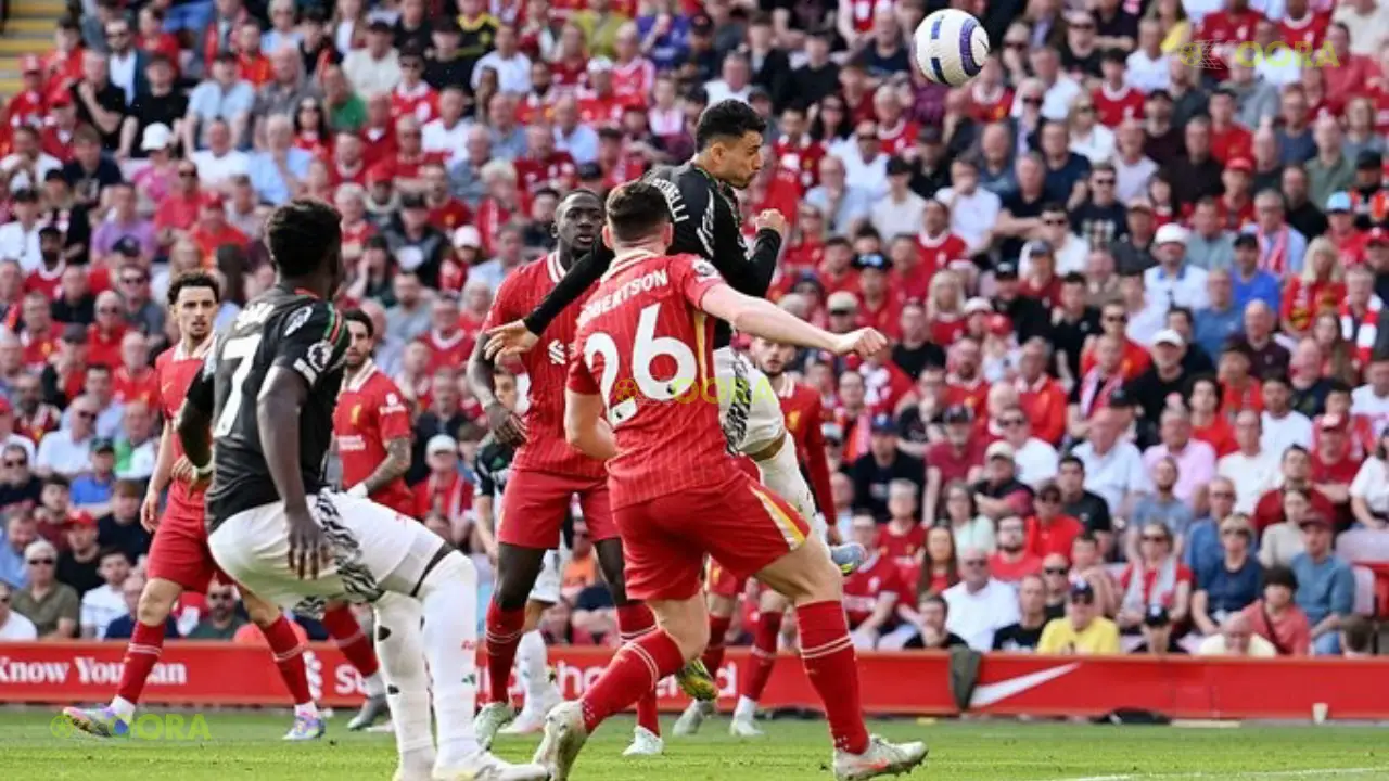 ليفربول وأرسنال