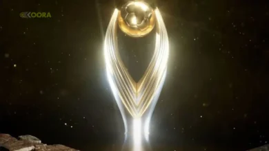 أبطال أفريقيا