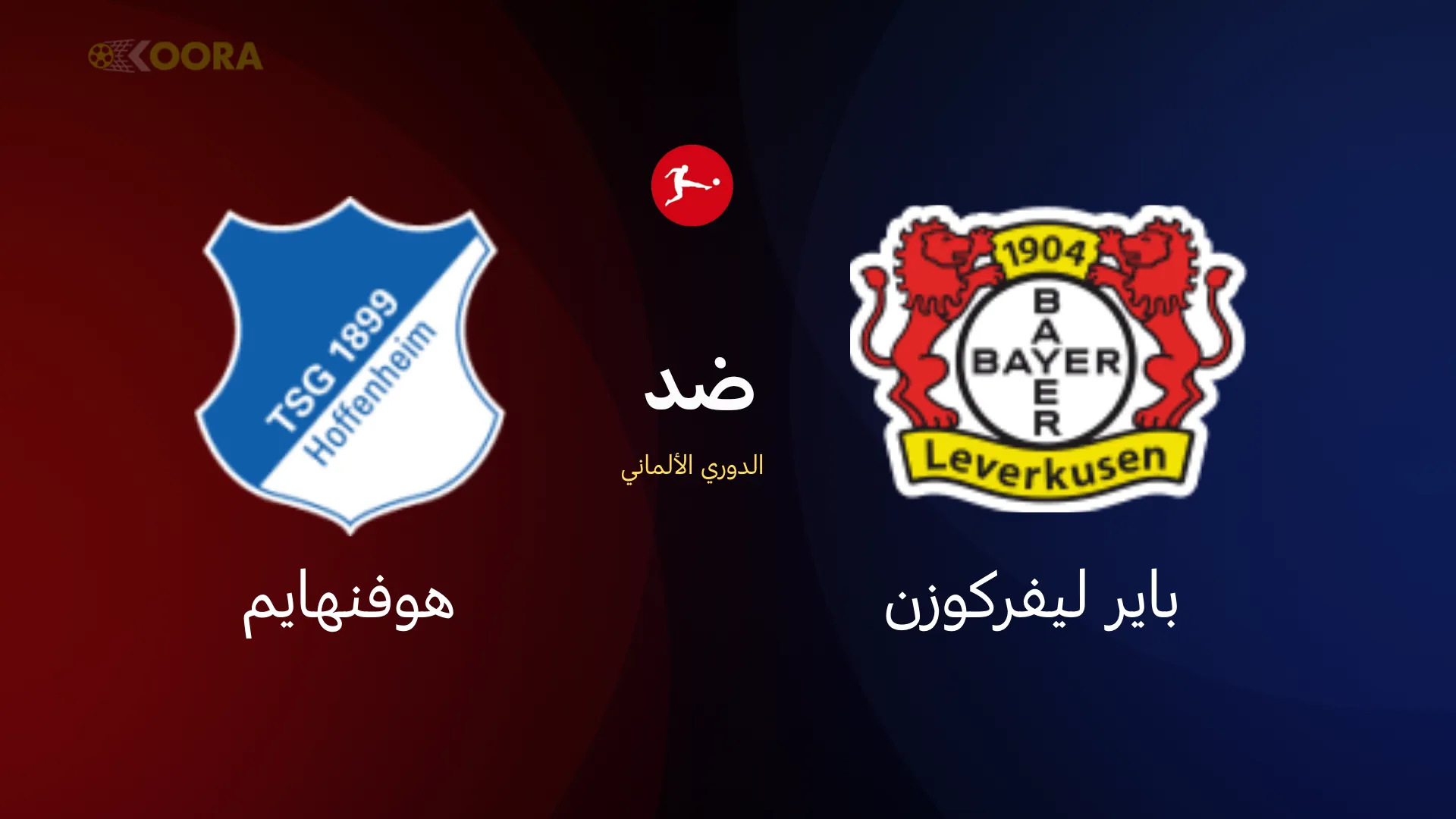 موعد مباراة باير ليفركوزن ضد هوفنهايم