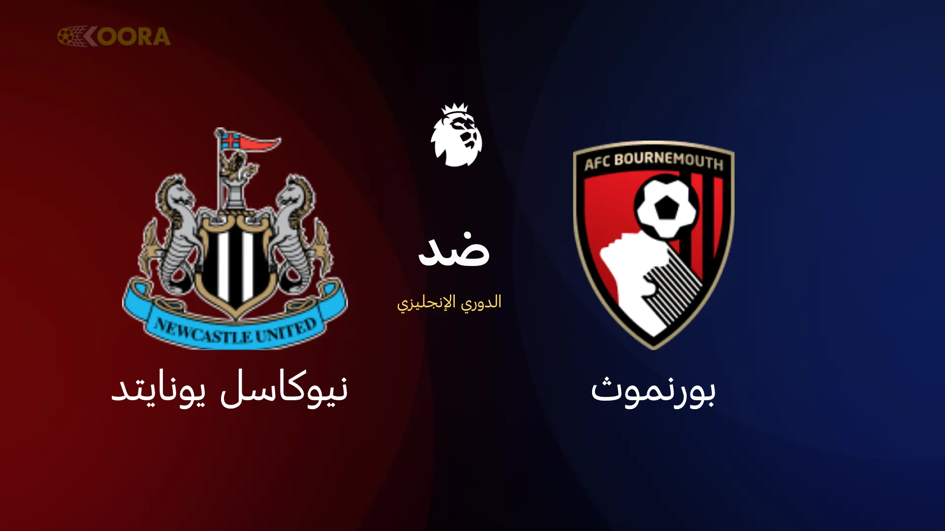 بورنموث ضد نيوكاسل يونايتد
