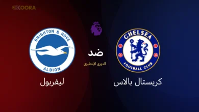 تشيلسي ضد برايتون