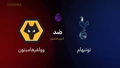 توتنهام ضد وولفرهامبتون