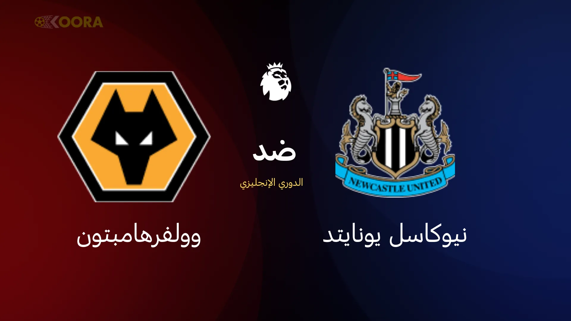 نيوكاسل ضد وولفرهامبتون